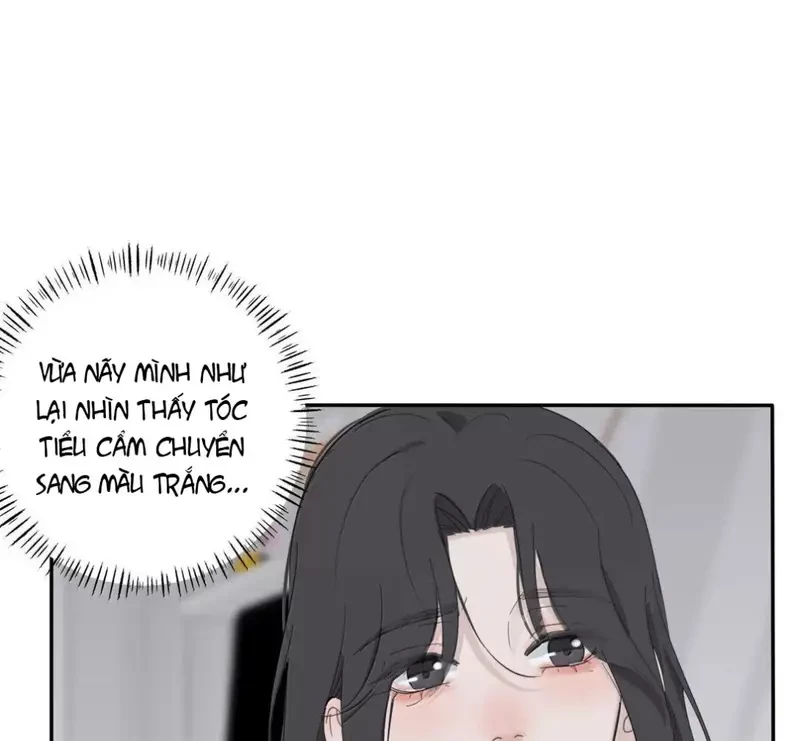 Dương Gian Bách Lý Cẩm Chapter 201 - 50