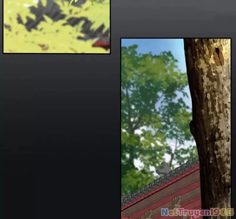 Dương Gian Bách Lý Cẩm Chapter 201 - 64