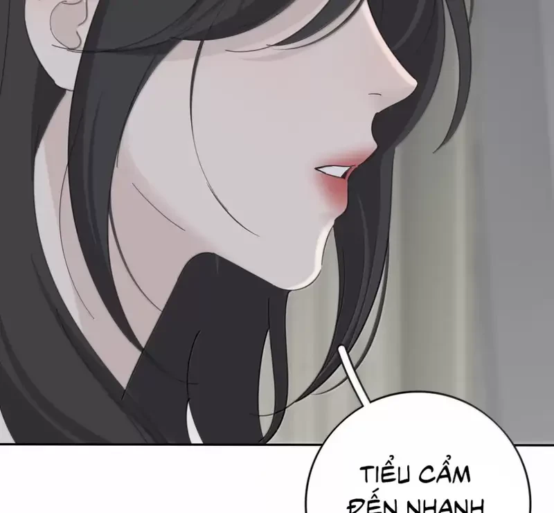 Dương Gian Bách Lý Cẩm Chapter 203 - 100