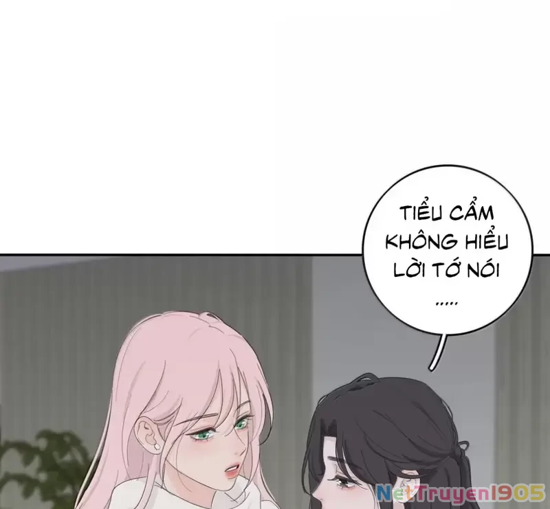 Dương Gian Bách Lý Cẩm Chapter 204 - 69
