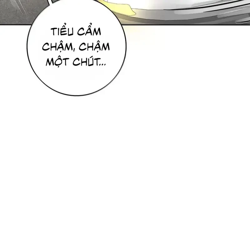 Dương Gian Bách Lý Cẩm Chapter 208 - 110