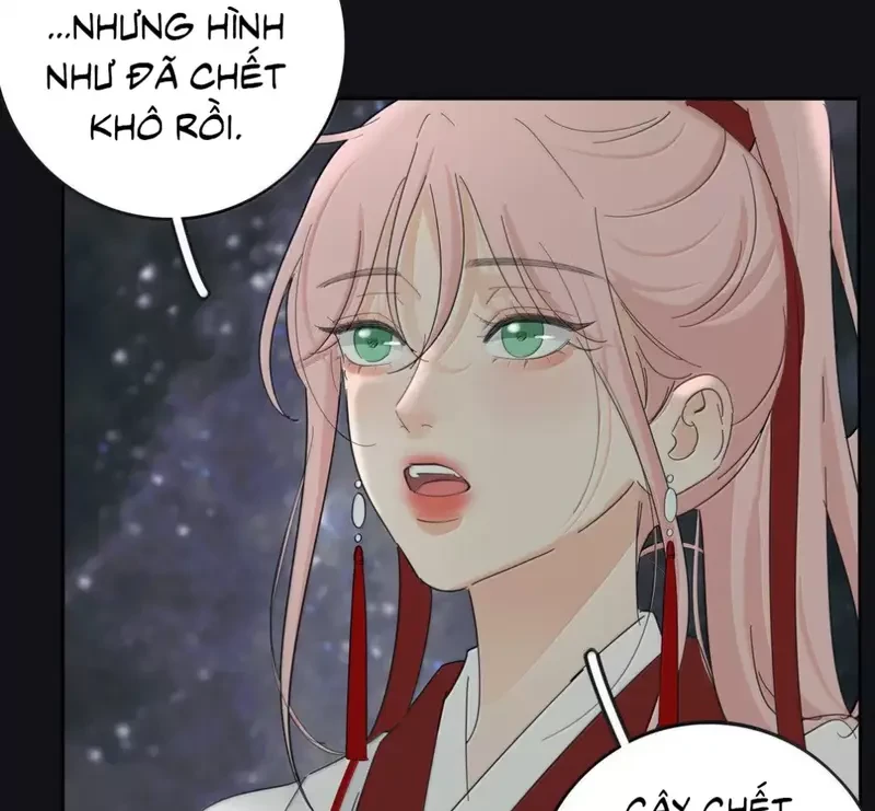 Dương Gian Bách Lý Cẩm Chapter 210 - 44