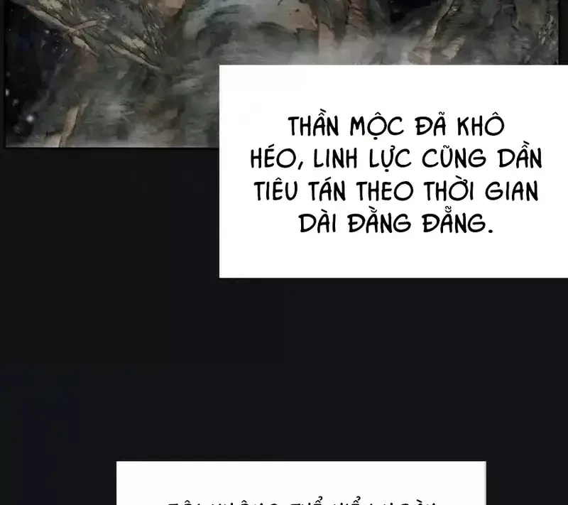 Dương Gian Bách Lý Cẩm Chapter 214 - 8