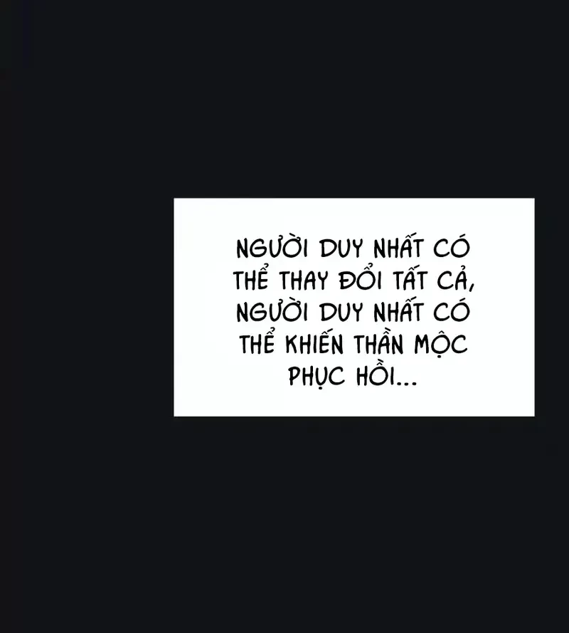 Dương Gian Bách Lý Cẩm Chapter 214 - 11