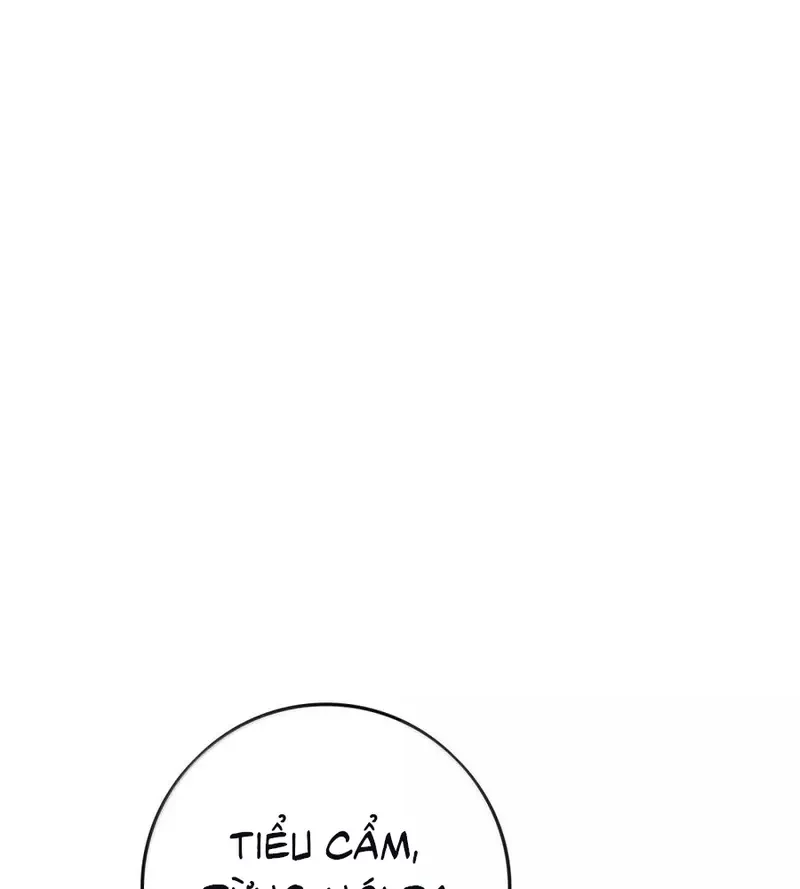 Dương Gian Bách Lý Cẩm Chapter 215 - 6