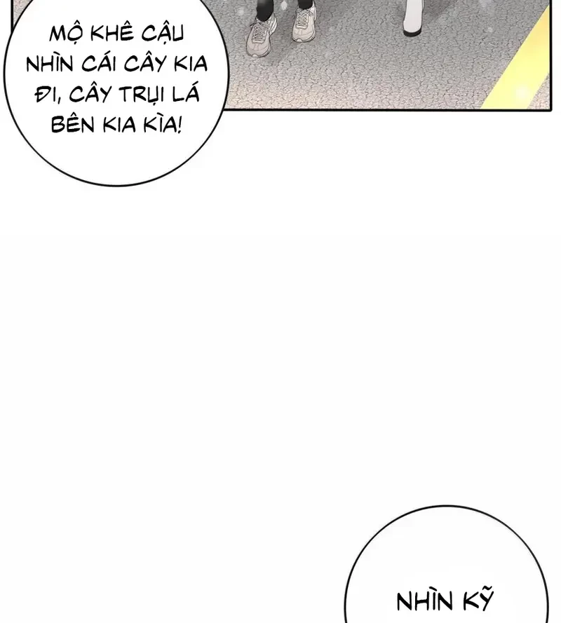 Dương Gian Bách Lý Cẩm Chapter 215 - 13