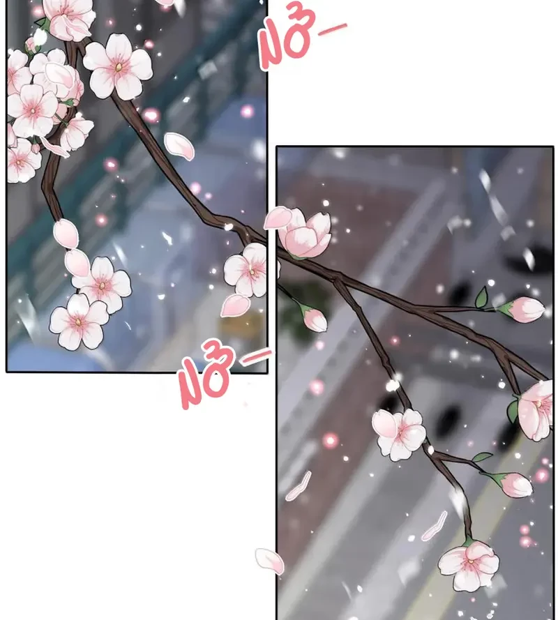 Dương Gian Bách Lý Cẩm Chapter 215 - 16