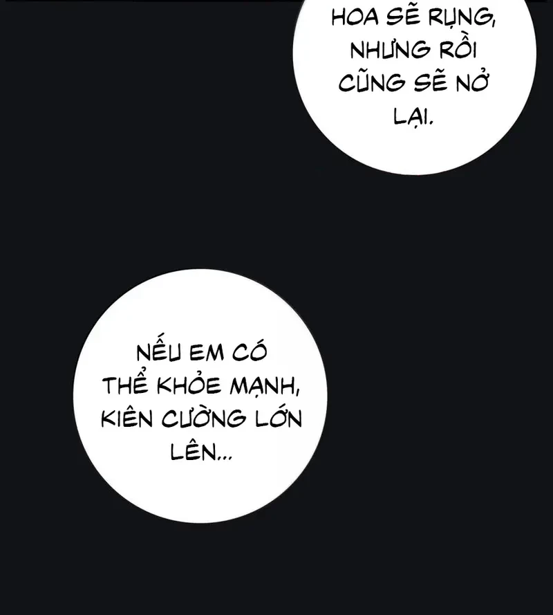 Dương Gian Bách Lý Cẩm Chapter 215 - 34