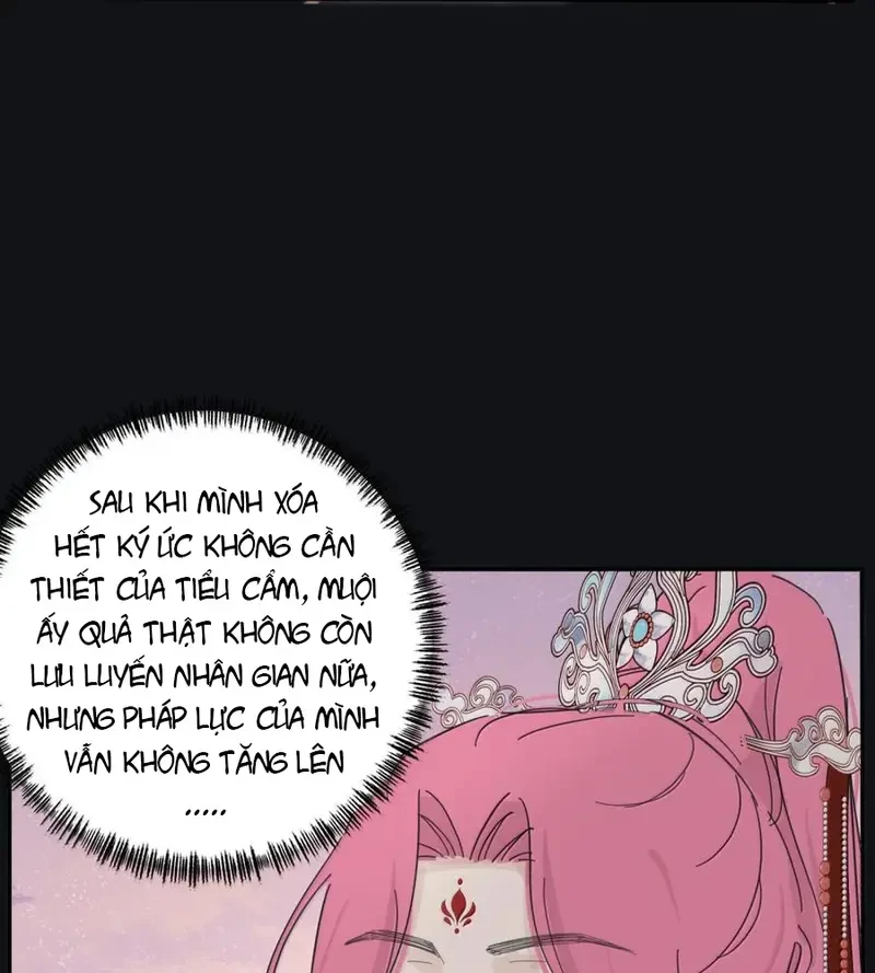 Dương Gian Bách Lý Cẩm Chapter 216 - 40