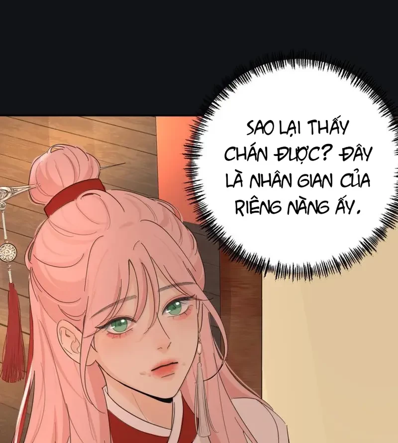 Dương Gian Bách Lý Cẩm Chapter 217 - 28