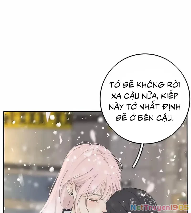 Dương Gian Bách Lý Cẩm Chapter 220 - 12