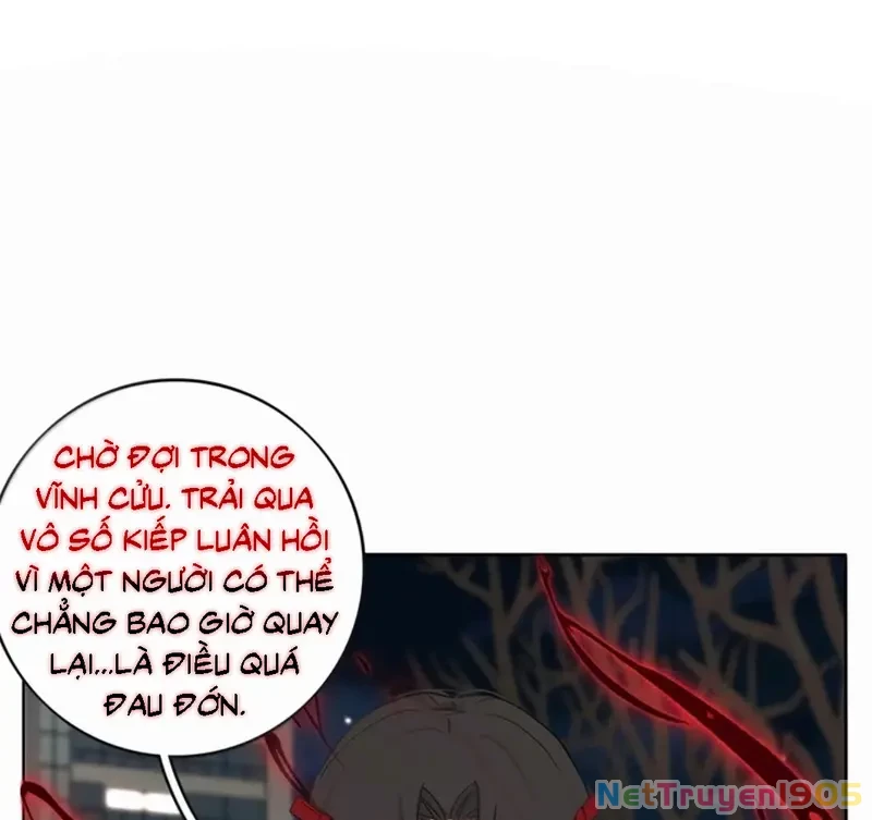 Dương Gian Bách Lý Cẩm Chapter 222 - 95