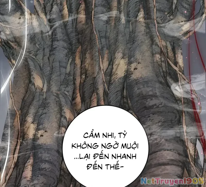 Dương Gian Bách Lý Cẩm Chapter 223 - 66