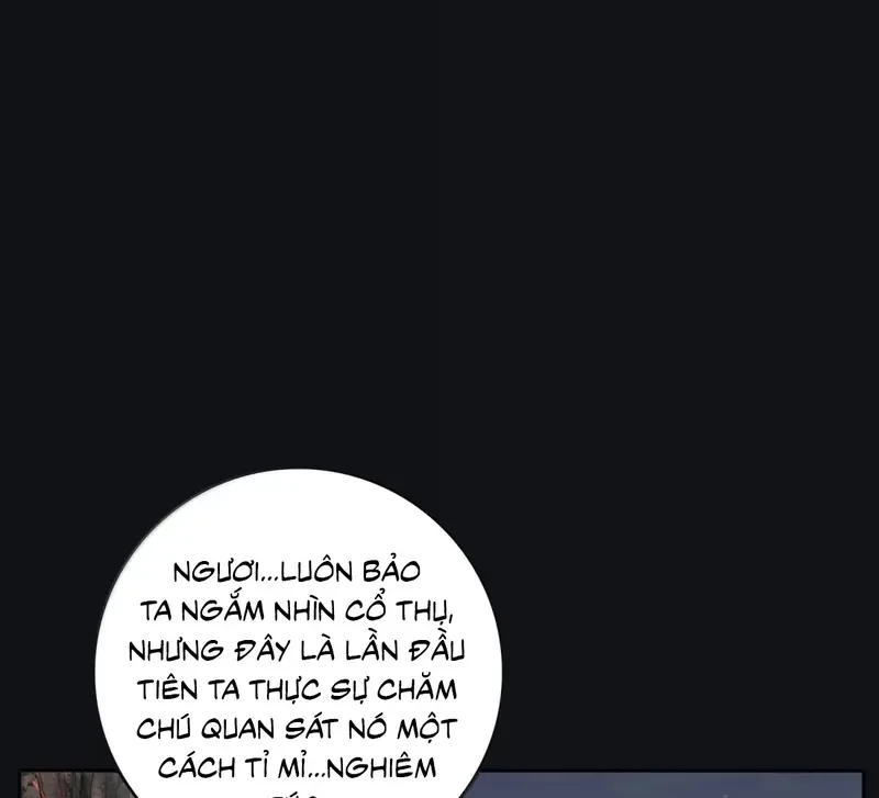 Dương Gian Bách Lý Cẩm Chapter 223 - 79