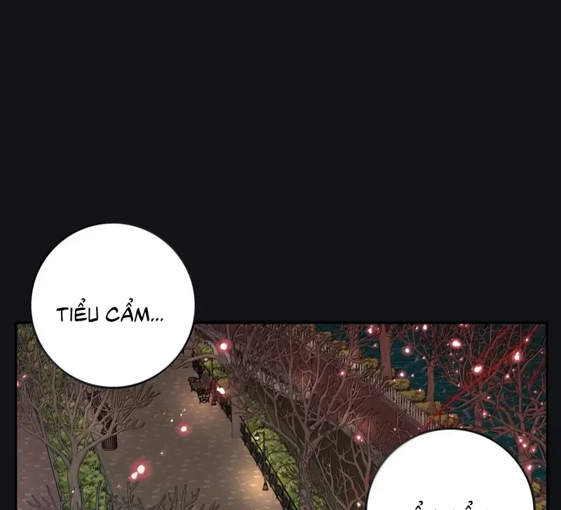 Dương Gian Bách Lý Cẩm Chapter 224 - 31