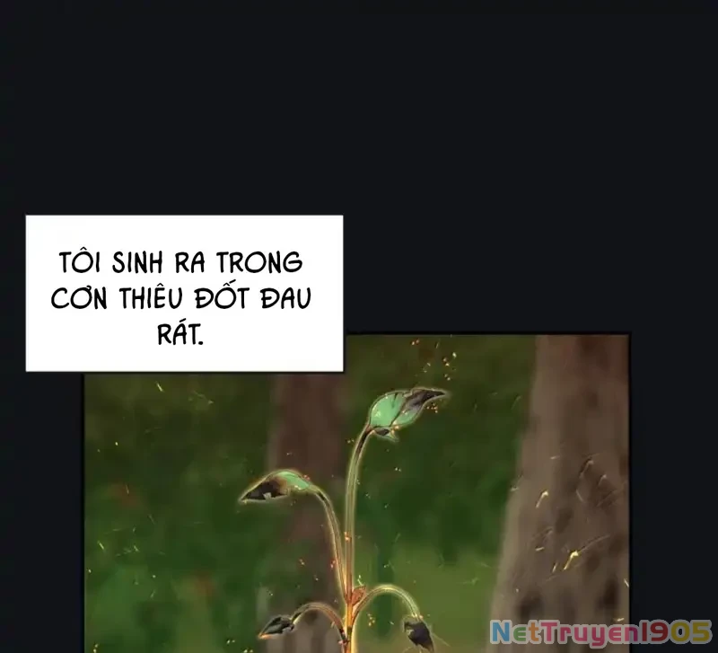 Dương Gian Bách Lý Cẩm Chapter 225 - 7