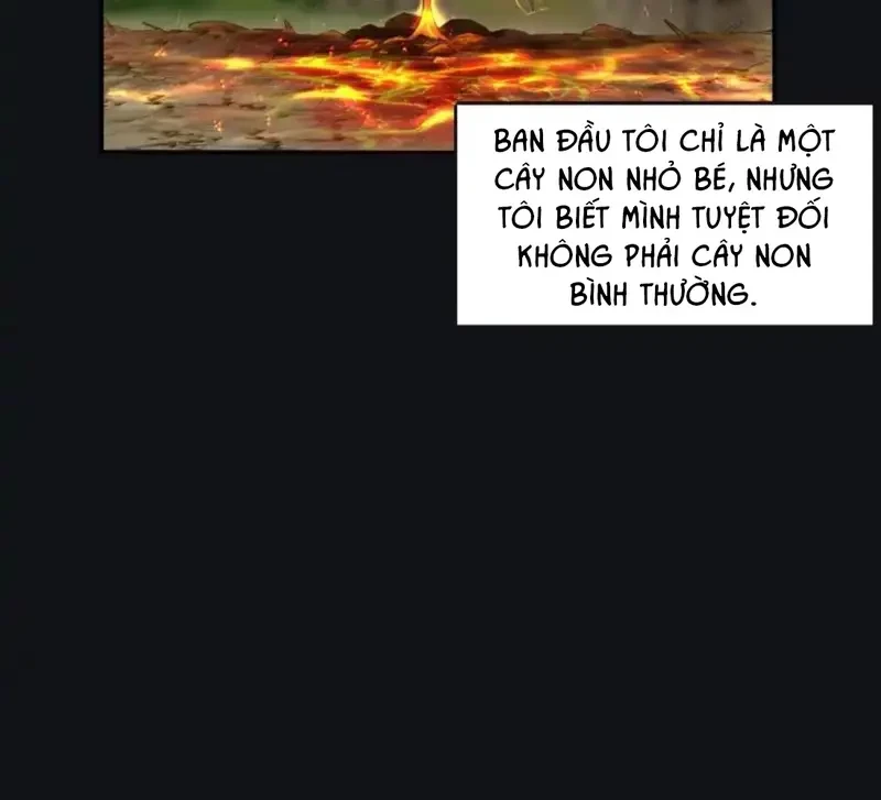 Dương Gian Bách Lý Cẩm Chapter 225 - 8