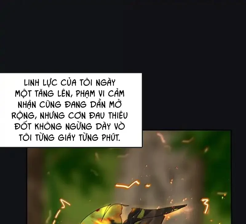 Dương Gian Bách Lý Cẩm Chapter 225 - 13