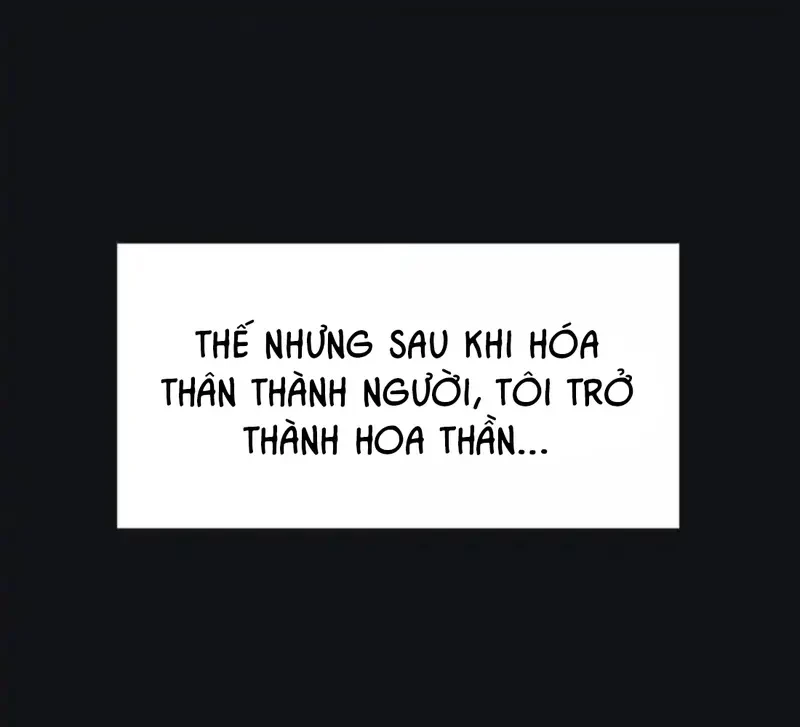 Dương Gian Bách Lý Cẩm Chapter 225 - 33
