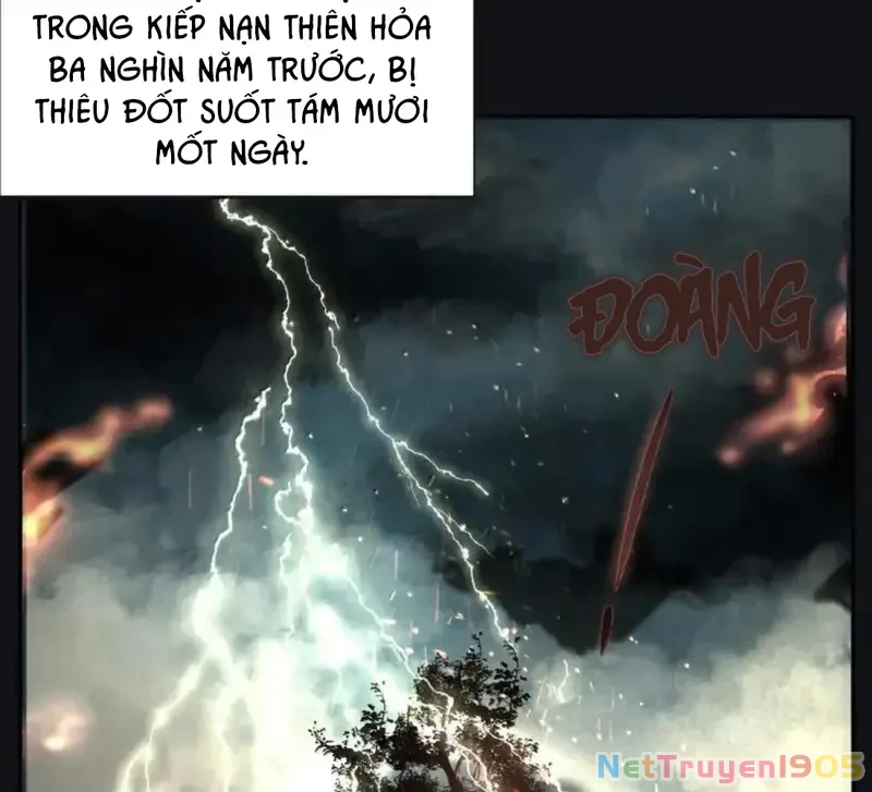 Dương Gian Bách Lý Cẩm Chapter 225 - 37