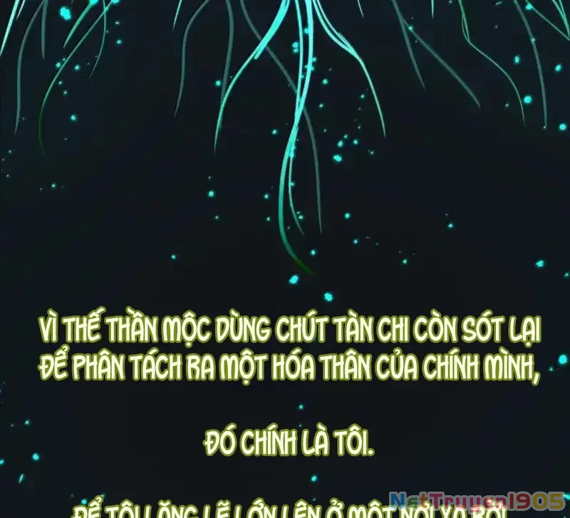 Dương Gian Bách Lý Cẩm Chapter 225 - 41
