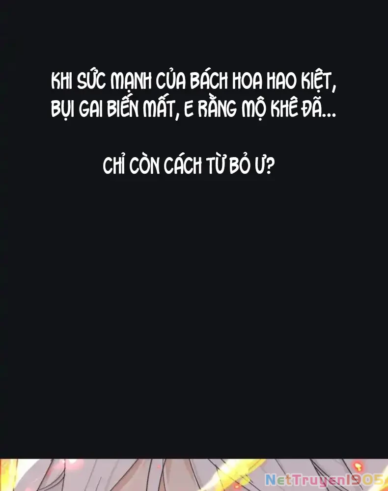 Dương Gian Bách Lý Cẩm Chapter 226 - 49