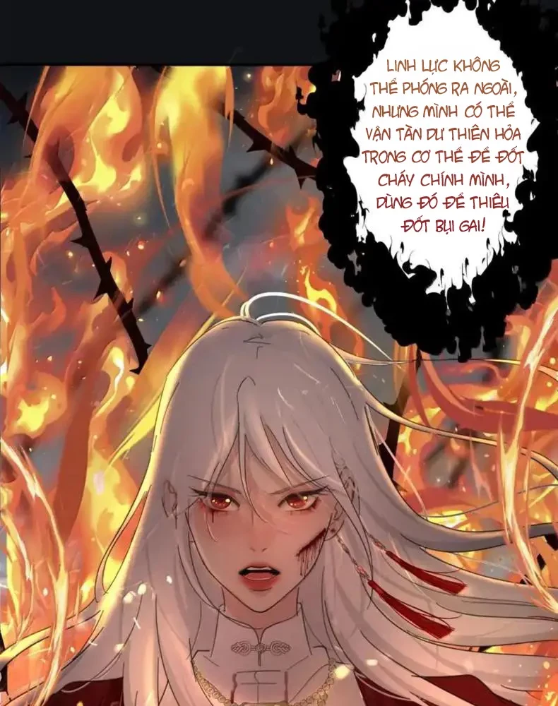 Dương Gian Bách Lý Cẩm Chapter 226 - 52
