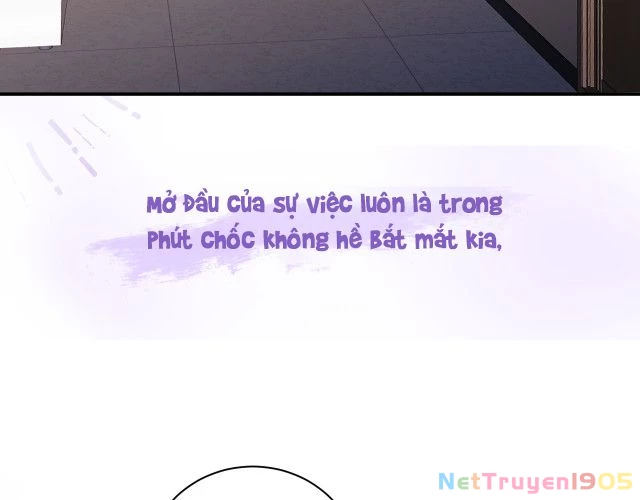 Tỏ Tình Vô Hiệu Chapter 0 - 6