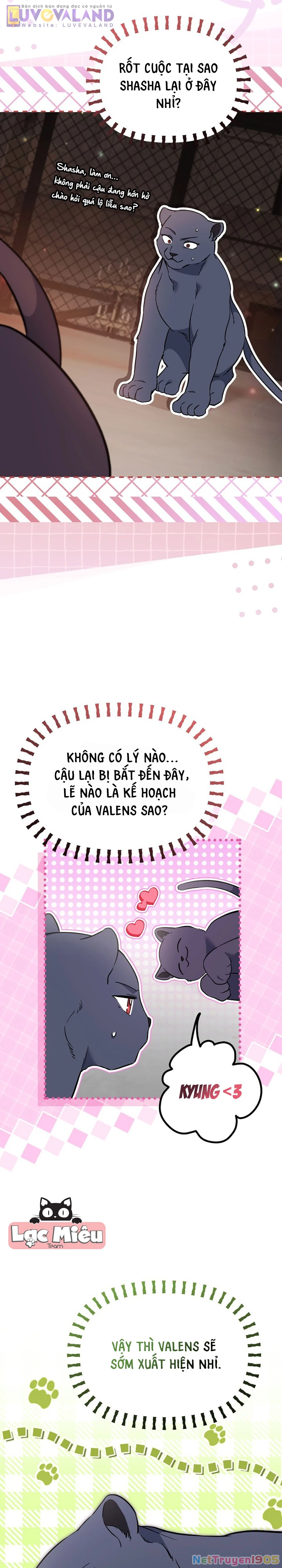 Mối Liên Kết Giữa Báo Đen Và Bé Thỏ Chapter 187 - 10