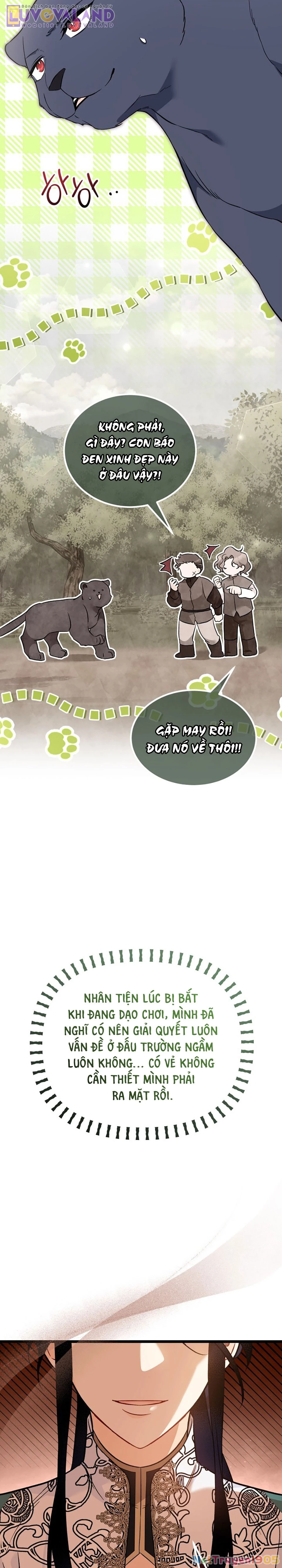 Mối Liên Kết Giữa Báo Đen Và Bé Thỏ Chapter 187 - 11