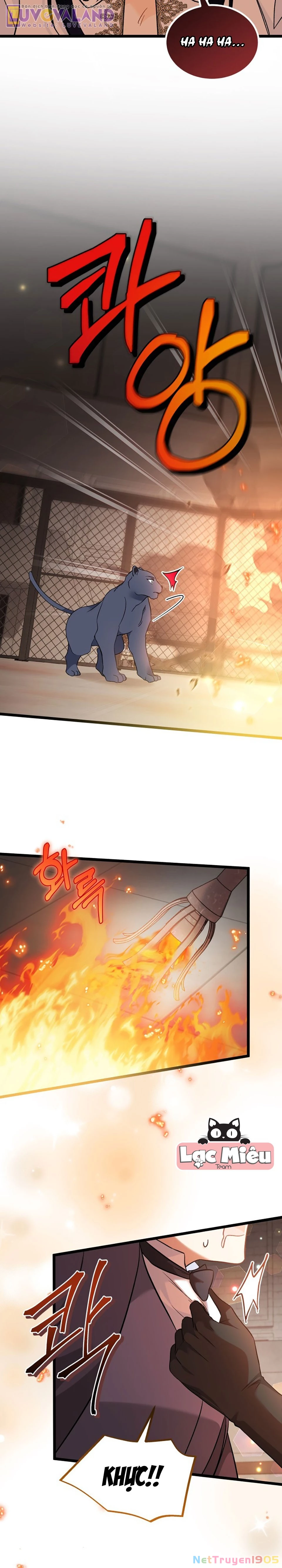 Mối Liên Kết Giữa Báo Đen Và Bé Thỏ Chapter 187 - 12