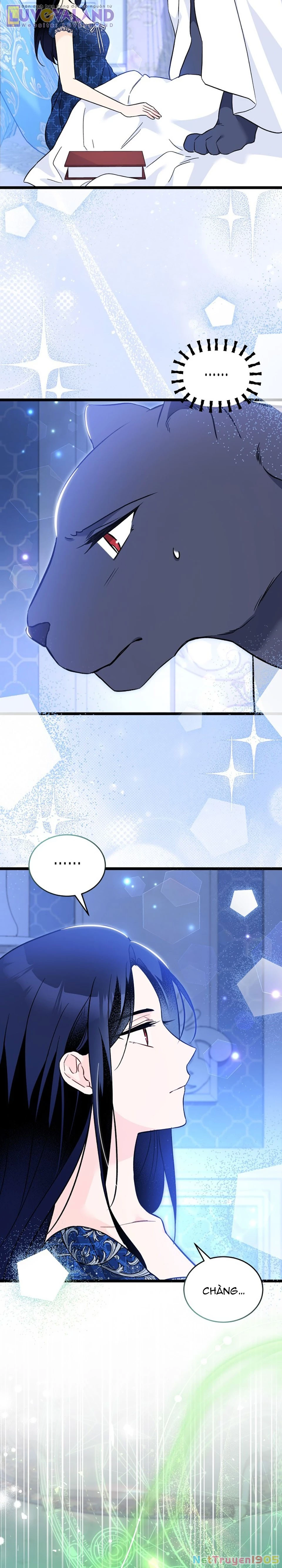 Mối Liên Kết Giữa Báo Đen Và Bé Thỏ Chapter 188 - 7