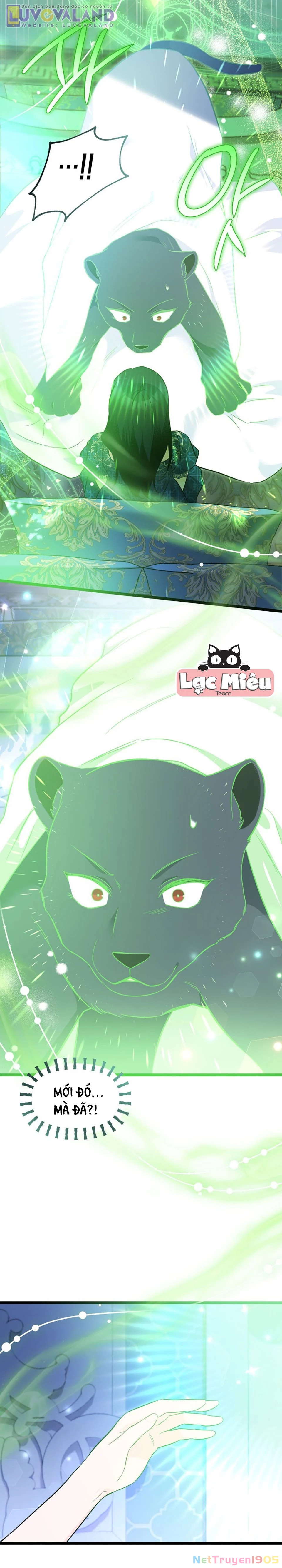 Mối Liên Kết Giữa Báo Đen Và Bé Thỏ Chapter 188 - 8