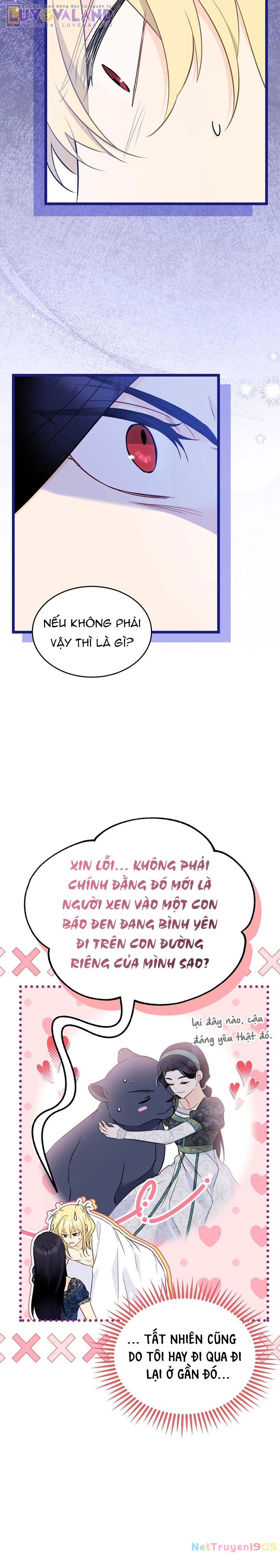 Mối Liên Kết Giữa Báo Đen Và Bé Thỏ Chapter 188 - 11