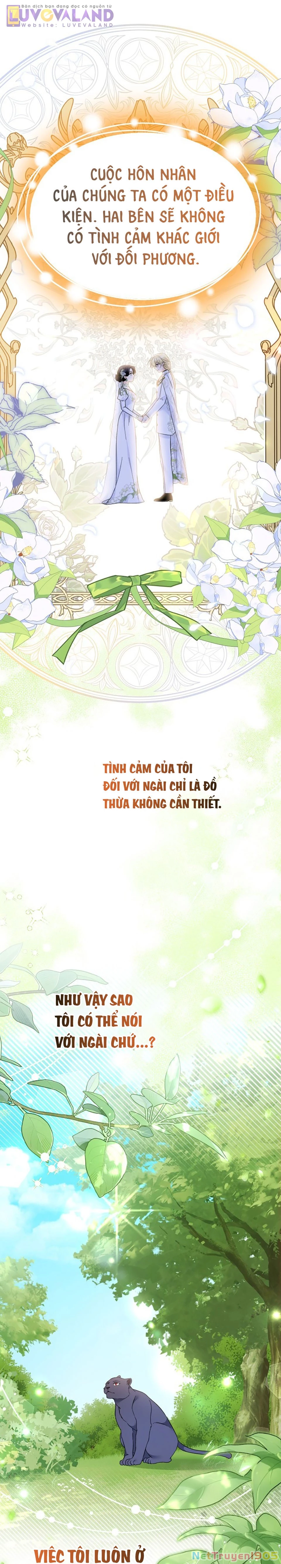 Mối Liên Kết Giữa Báo Đen Và Bé Thỏ Chapter 188 - 17