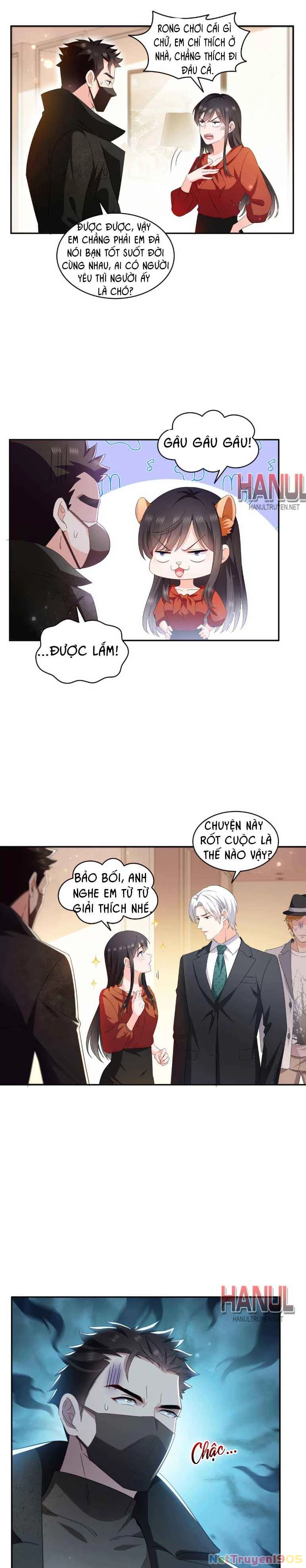 Hệt Như Hàn Quang Gặp Nắng Gắt Chapter 565 - 7
