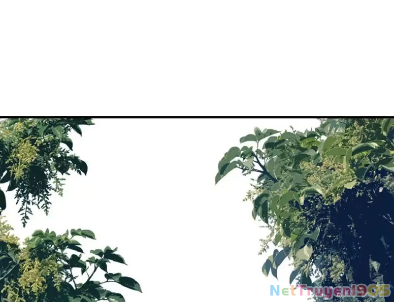 Trùng Sinh Ta Có Được Hệ Thống Không Cấp Chapter 5 - 5