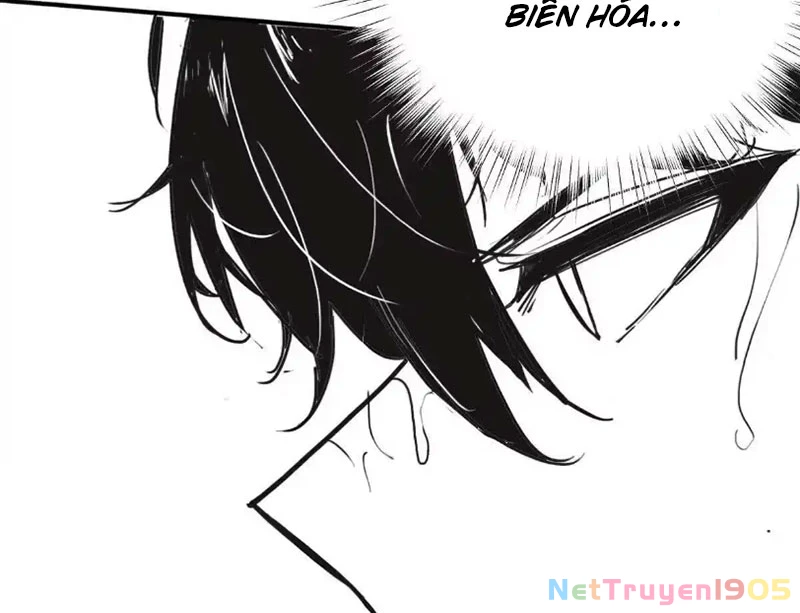 Trùng Sinh Ta Có Được Hệ Thống Không Cấp Chapter 5 - 13