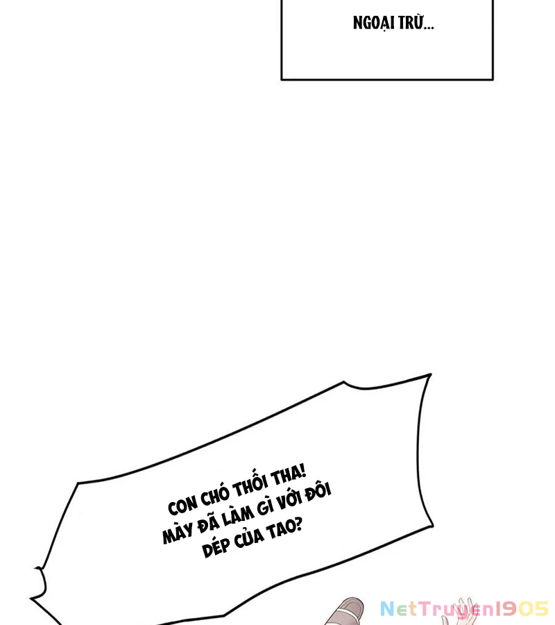 Cửa hàng sủng vật thần kỳ Chapter 1 - 13