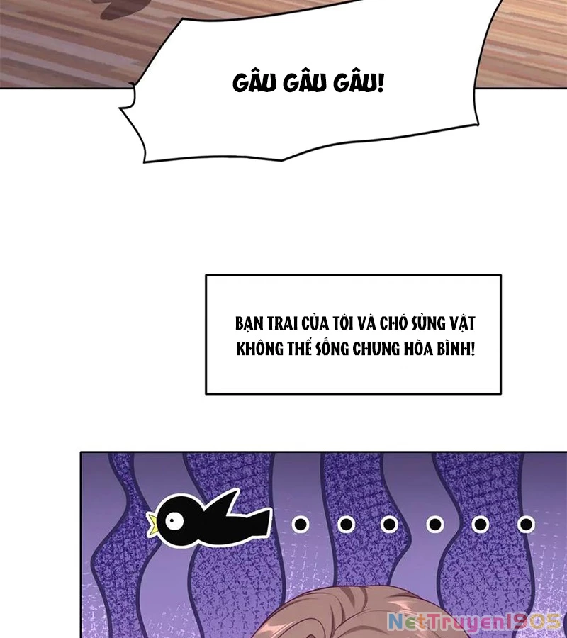 Cửa hàng sủng vật thần kỳ Chapter 1 - 15