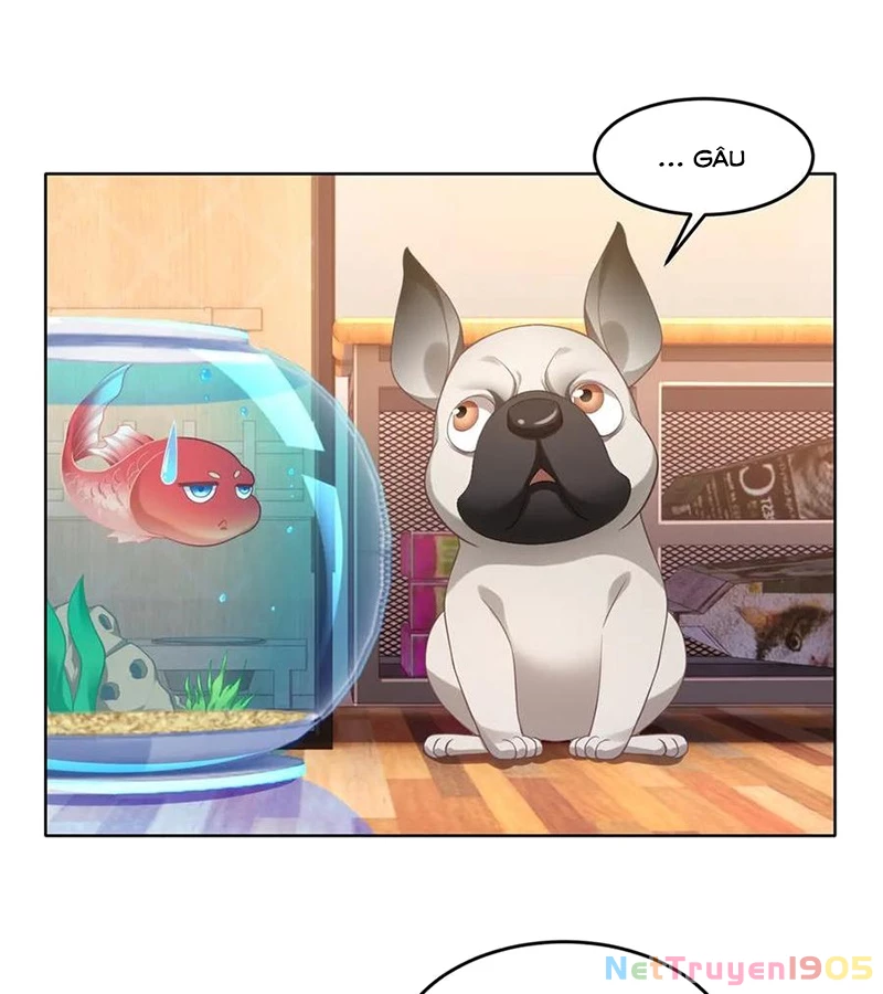 Cửa hàng sủng vật thần kỳ Chapter 1 - 19