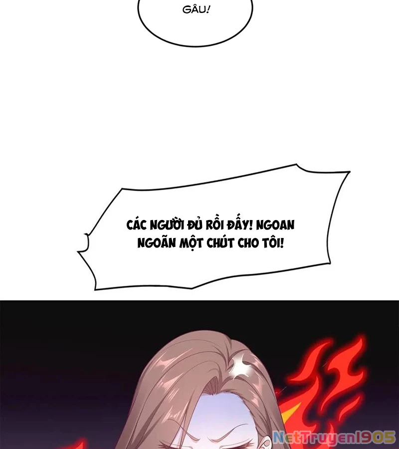 Cửa hàng sủng vật thần kỳ Chapter 1 - 21