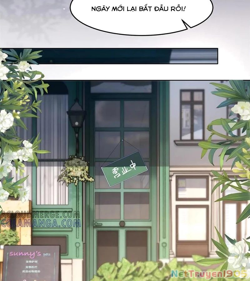 Cửa hàng sủng vật thần kỳ Chapter 2 - 14