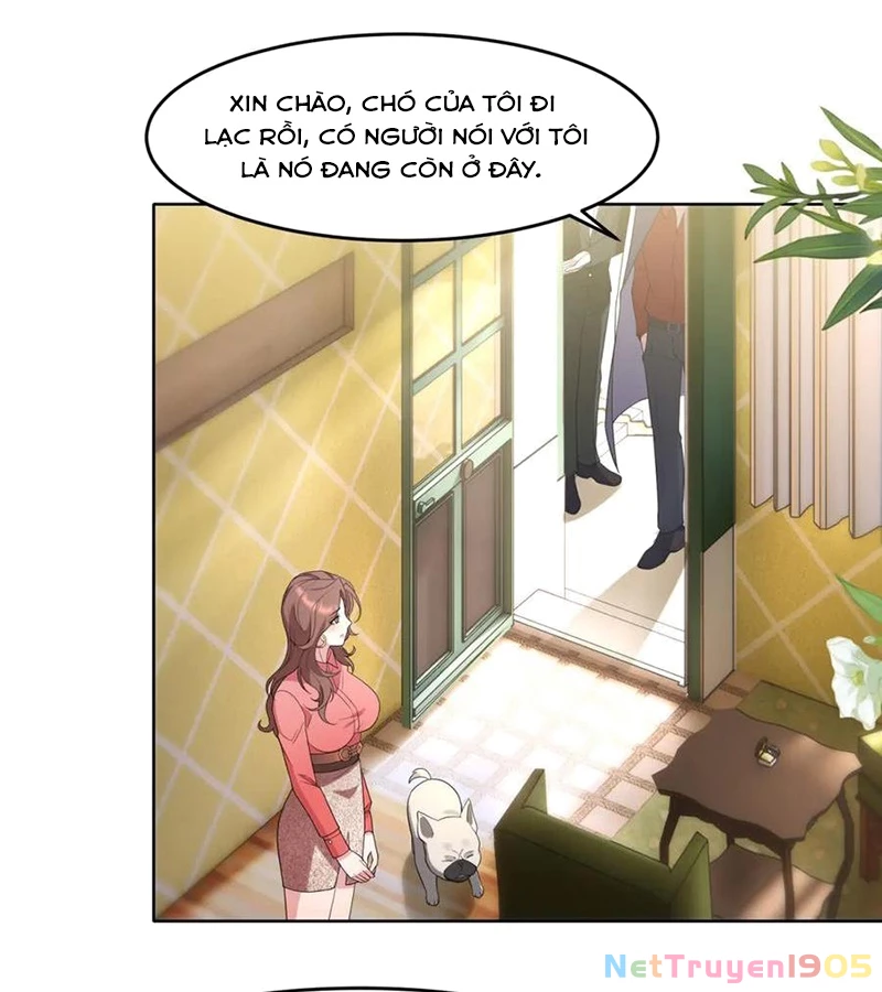 Cửa hàng sủng vật thần kỳ Chapter 2 - 17