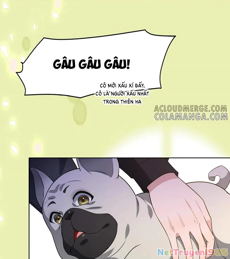 Cửa hàng sủng vật thần kỳ Chapter 2 - 35