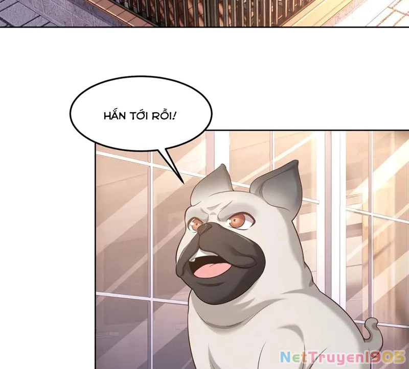 Cửa hàng sủng vật thần kỳ Chapter 2 - 42