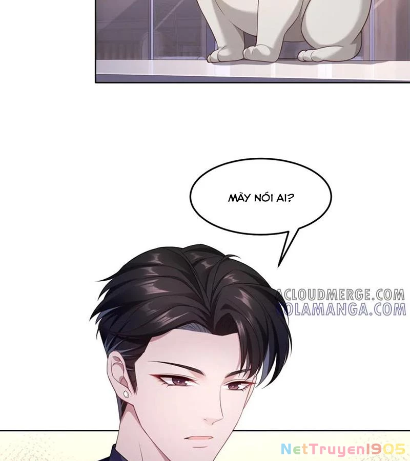 Cửa hàng sủng vật thần kỳ Chapter 2 - 43