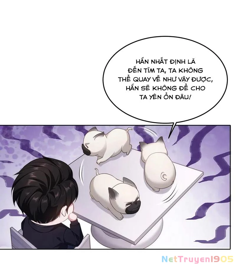 Cửa hàng sủng vật thần kỳ Chapter 2 - 47