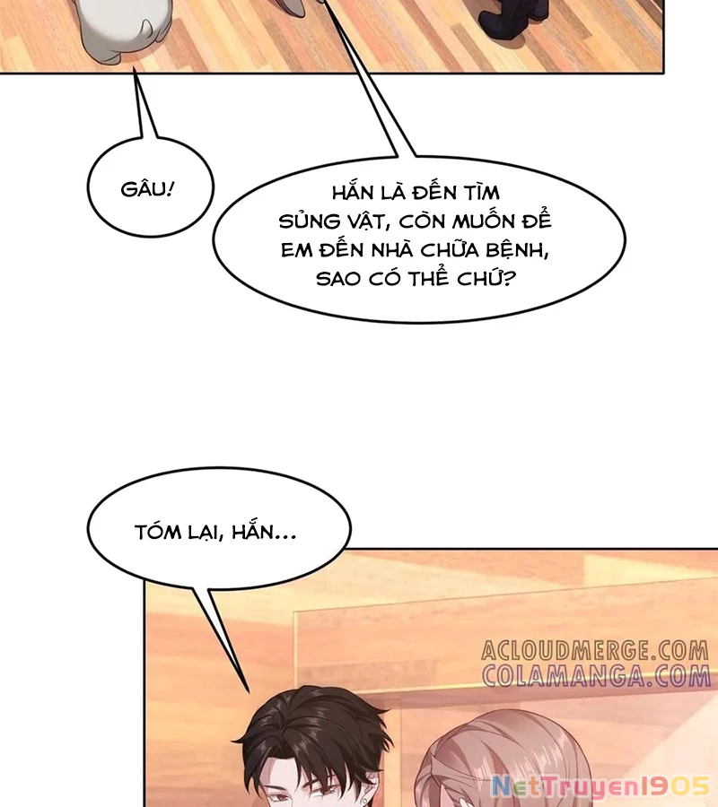 Cửa hàng sủng vật thần kỳ Chapter  3 - 17