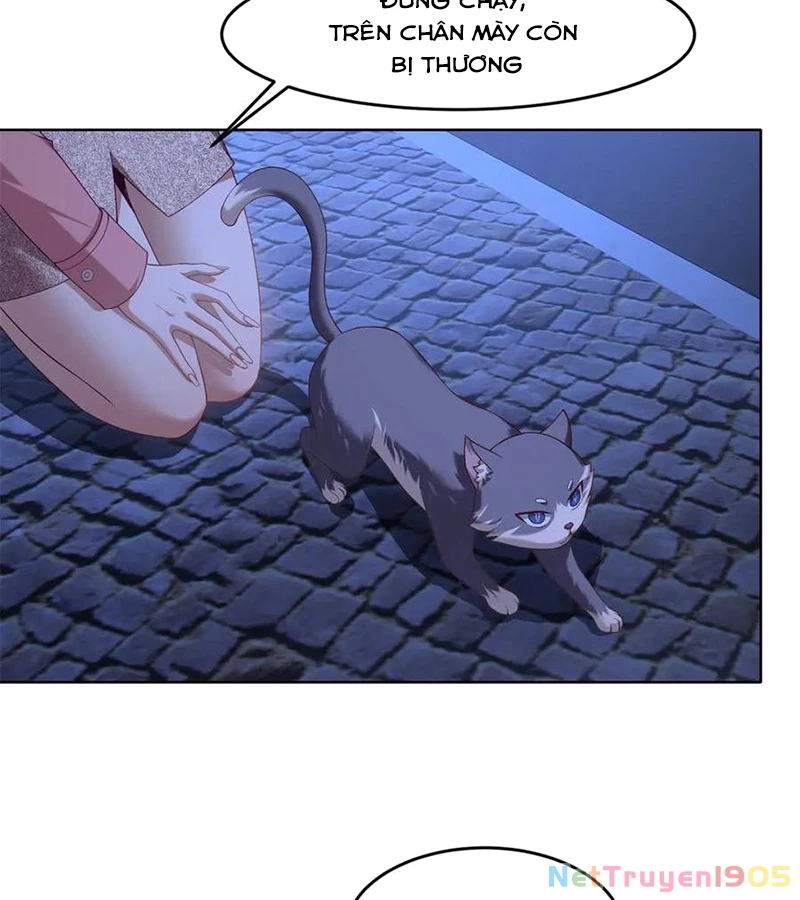 Cửa hàng sủng vật thần kỳ Chapter  3 - 35